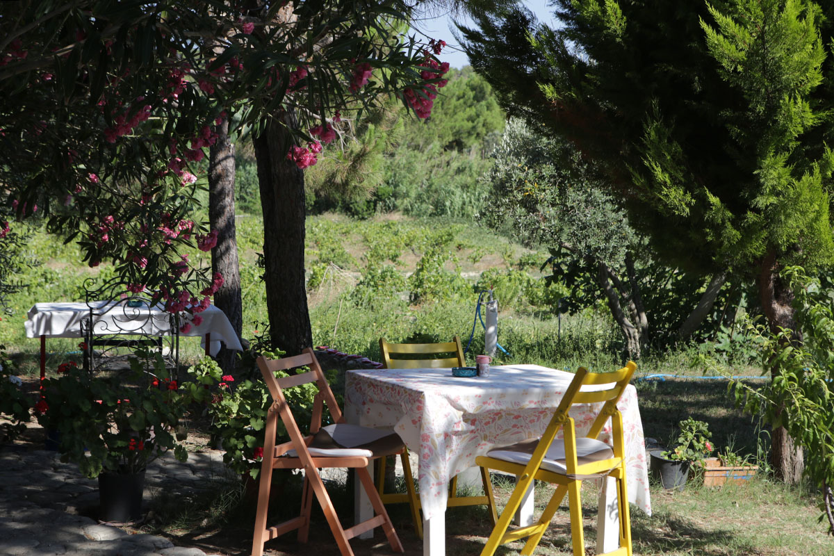 Bozcaada Merve Bağ Pansiyon