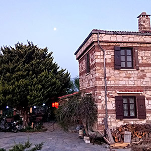Anemon Bağ Evi