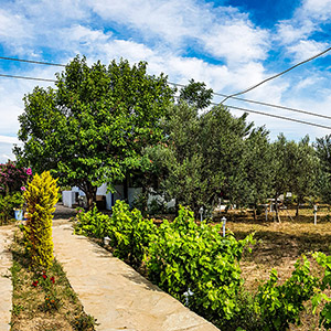 Tenedos Bağevi